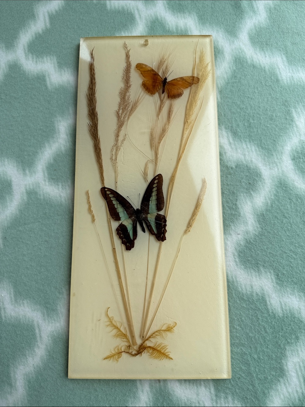 1970s Vintage Papilio and Juno Butterfly Resin Wall Art in Cream, Brown & Teal
